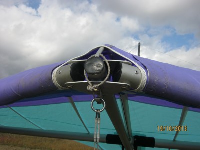 IMG_4547_resize.JPG