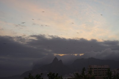 IMGP5090.jpg