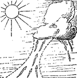 Планер