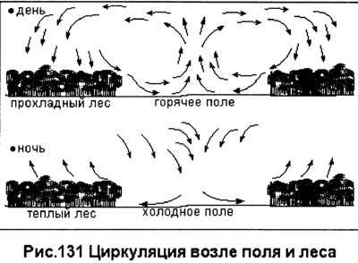 Циркуляция возле поля и леса